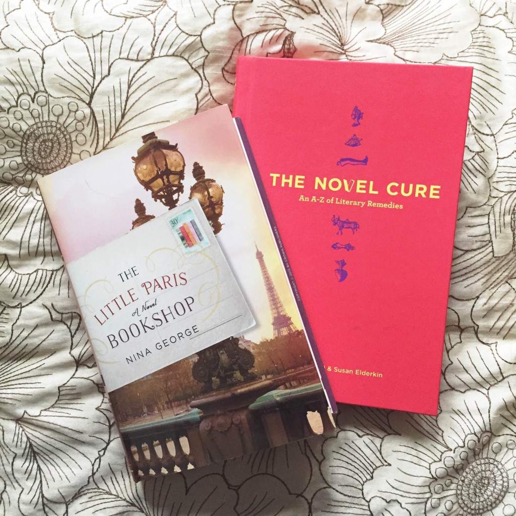 the little paris bookshop and the novel cure